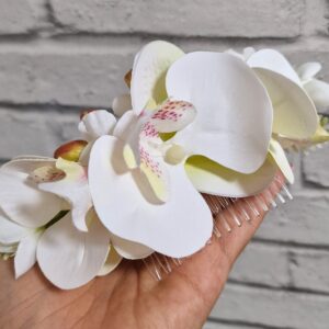 Orchidea hajdísz