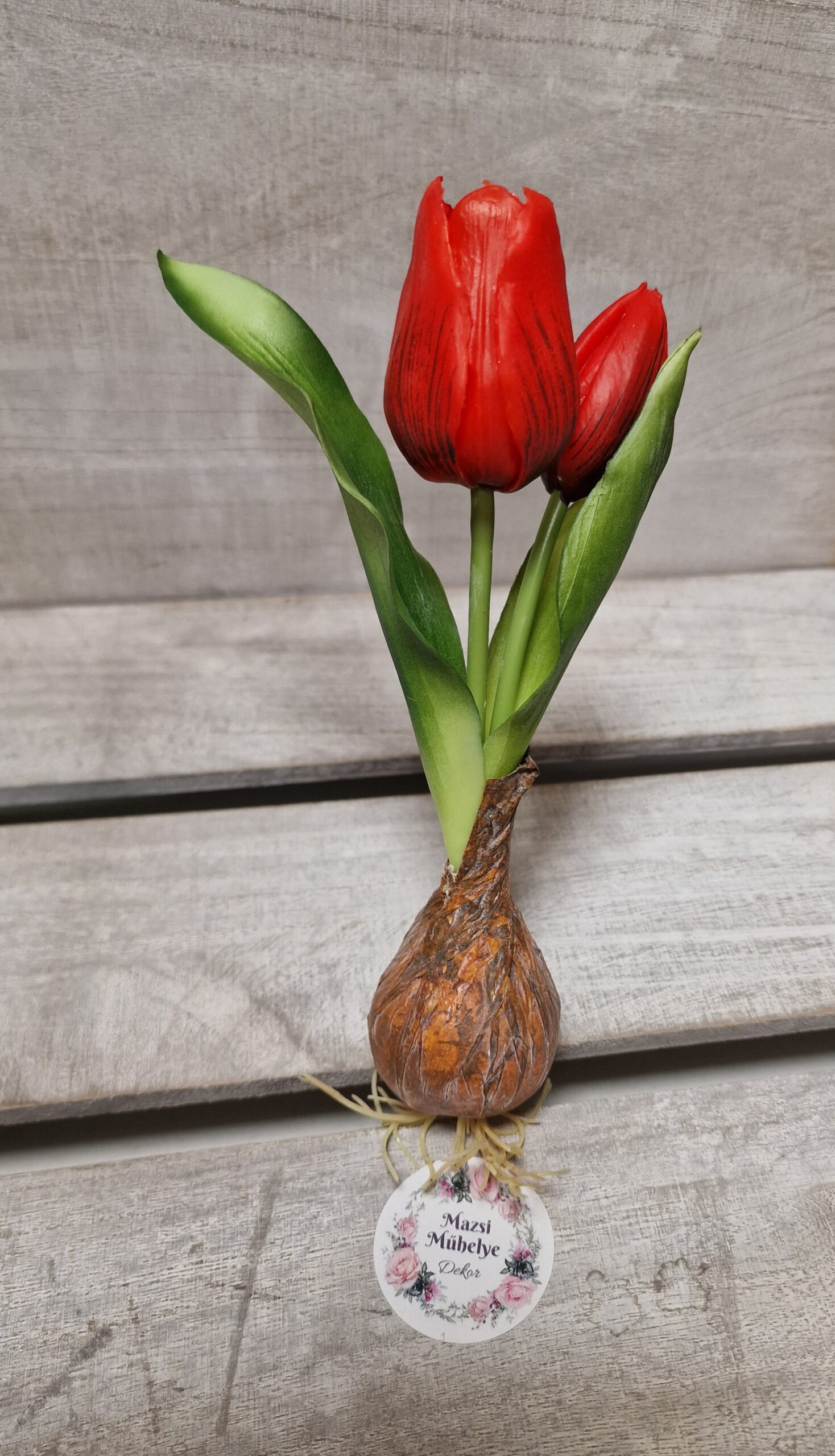 Lukovica tulipan -crvena