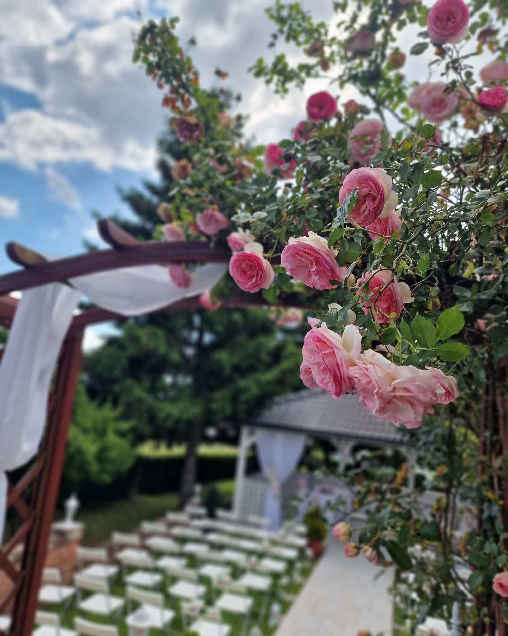 Rose vjenčanje - 3. kép